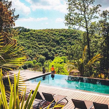 Les Hauts Du Marquet: Luxe 5-Star Gite with Infinity Pool in Cevennes Saint Jean du Pin Exterior photo